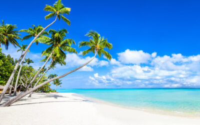 CRM Basisseminar Block 2 – München, 21./22.10.2026 (hybrid)