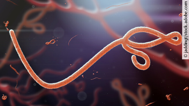 Ebola_312x175